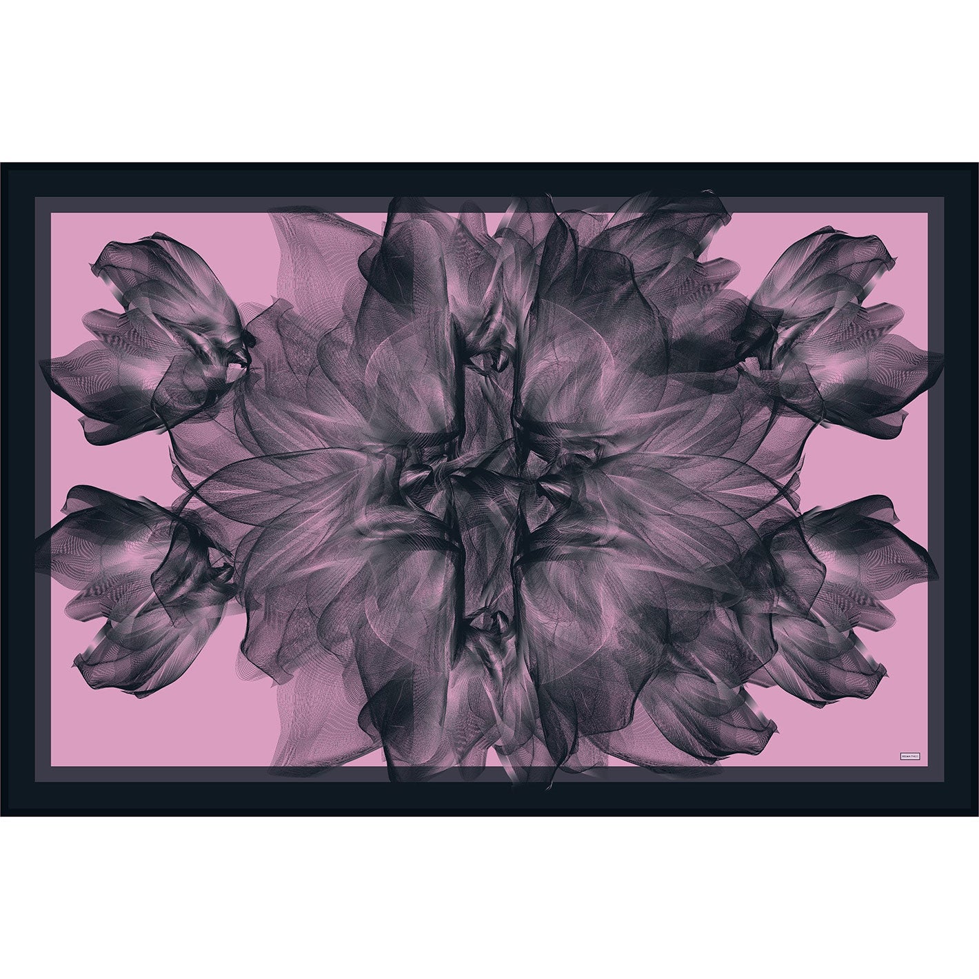 Black Pink Lavender Twilight Cotton Silk Pareo Scarf